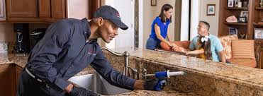 Pest Control for Hotels in Oblong, IL